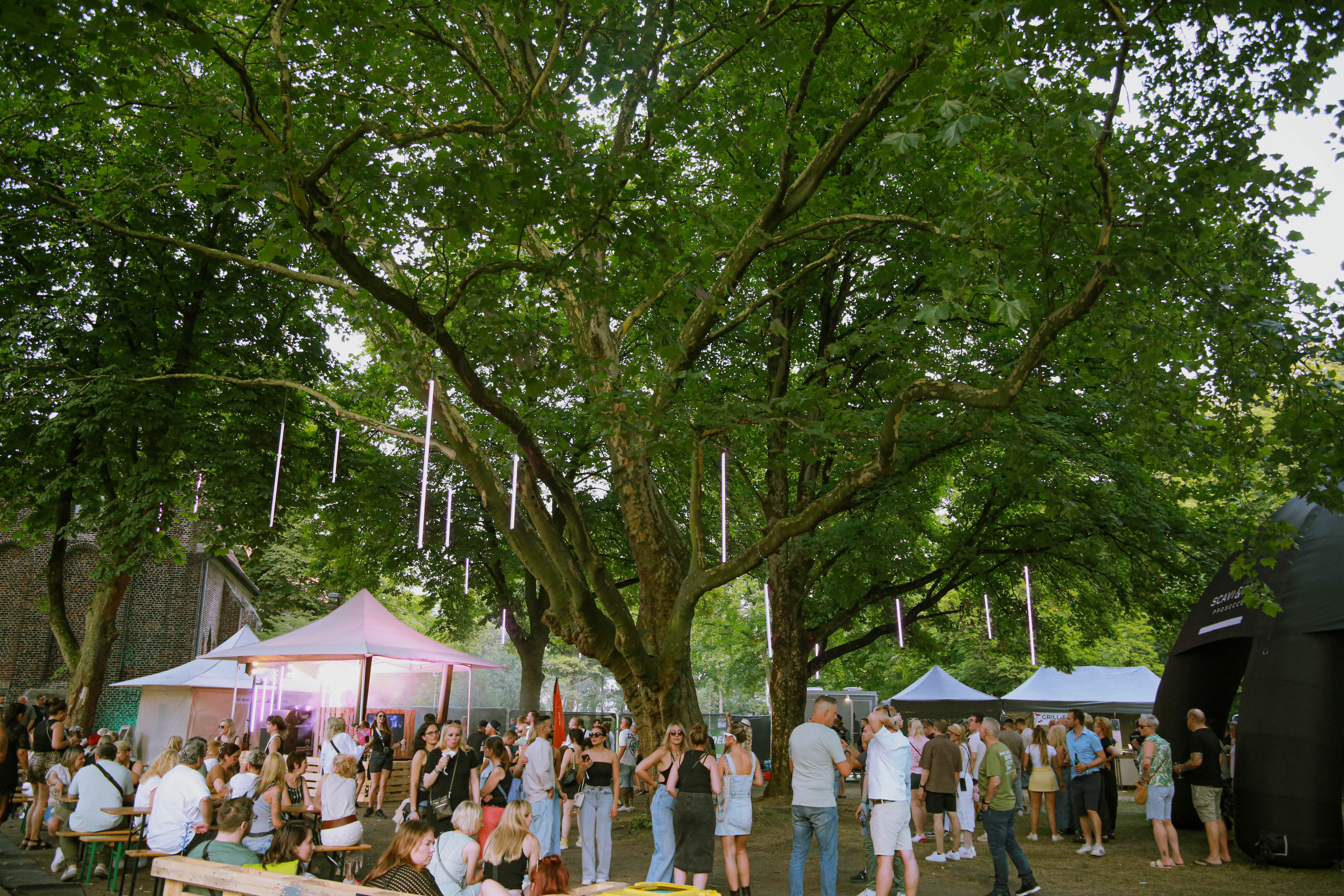 Electric_residence_025